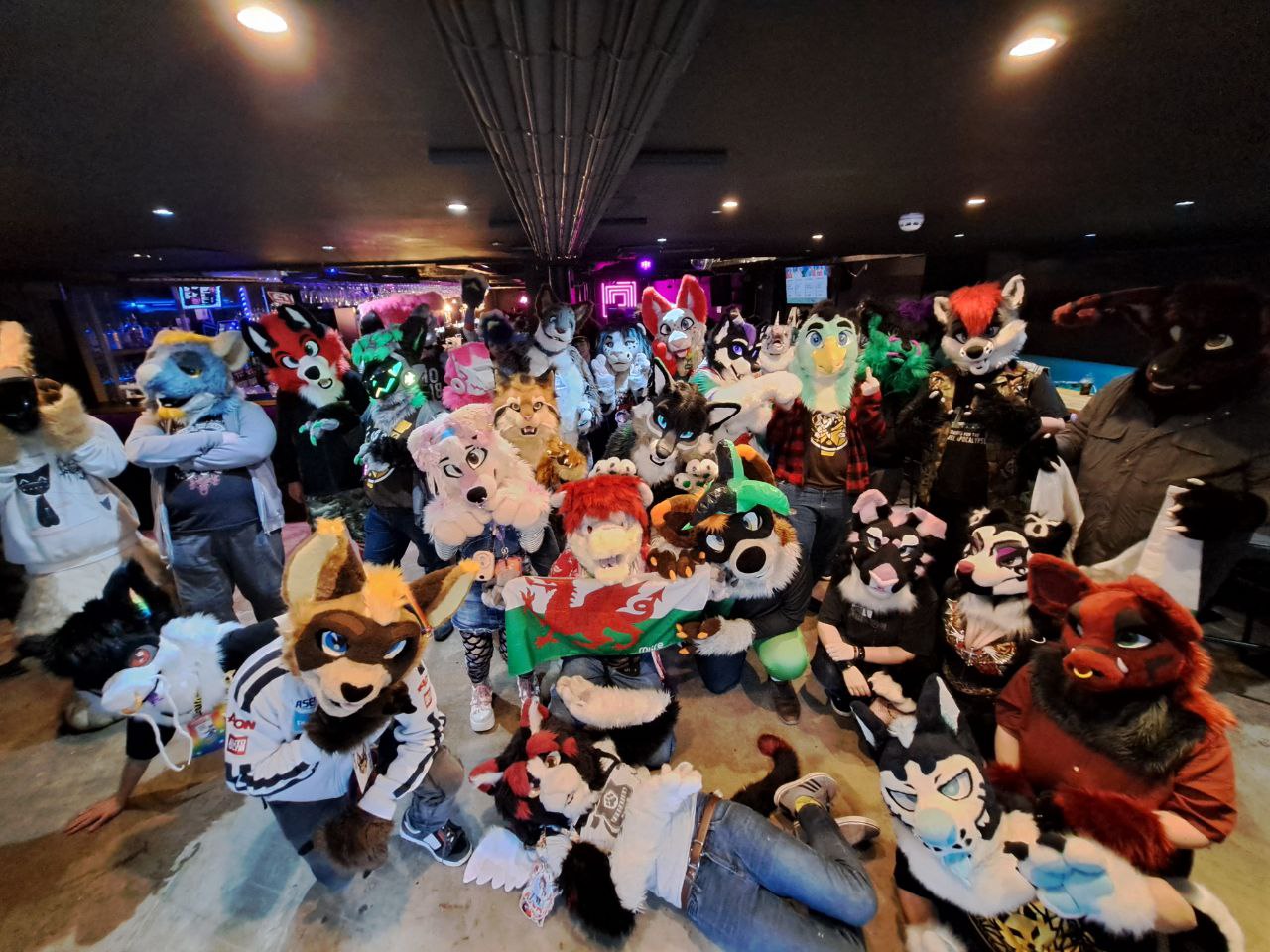 Photo of many fursuiters posing for camera inside, one holding Wales flag in the middle