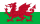 Wales flag - language switcher